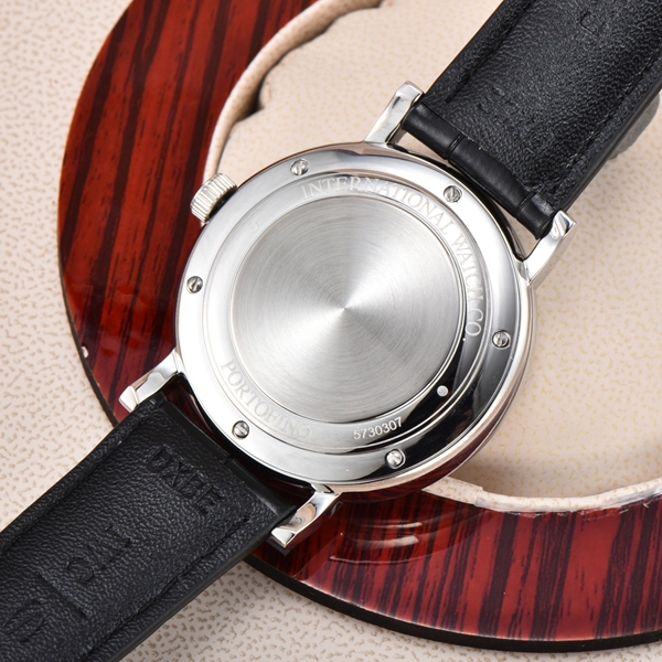 アイ・ダブリュー・シー着用イメージ